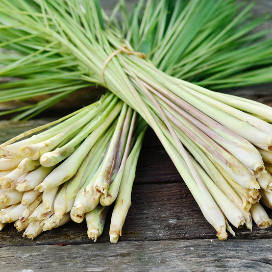 Lemongrass Oil Benefits